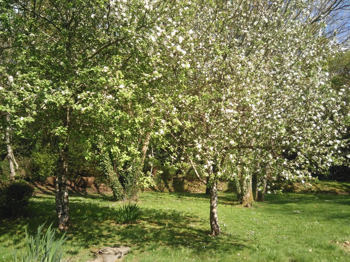 B&B La Grange Du Minuellou Melgven Luaran gambar